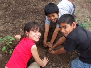 school-gardeners